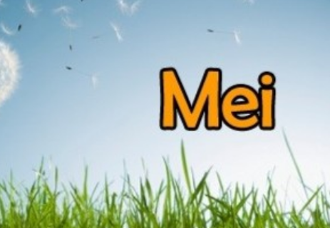 Nb Mei