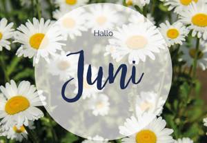 0000E53 W1272 Juni