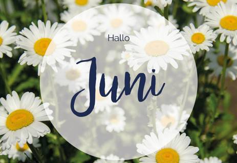 0000E53 W1272 Juni