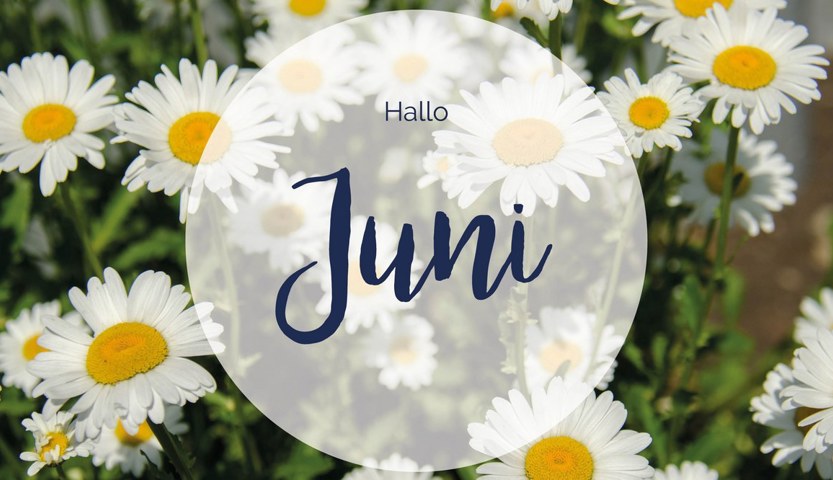 0000E53 W1272 Juni