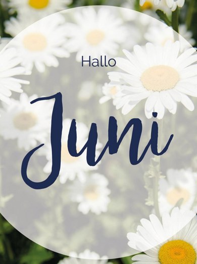 0000E53 W1272 Juni
