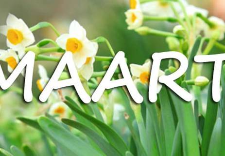 100Ecb8 W750 Uitgerekendmaart750x