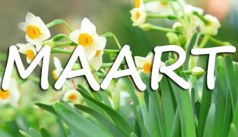 100Ecb8 W750 Uitgerekendmaart750x