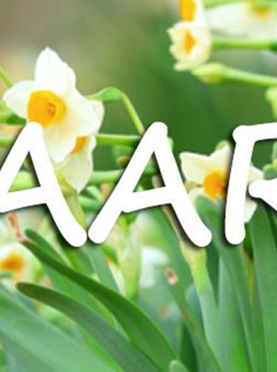 100Ecb8 W750 Uitgerekendmaart750x