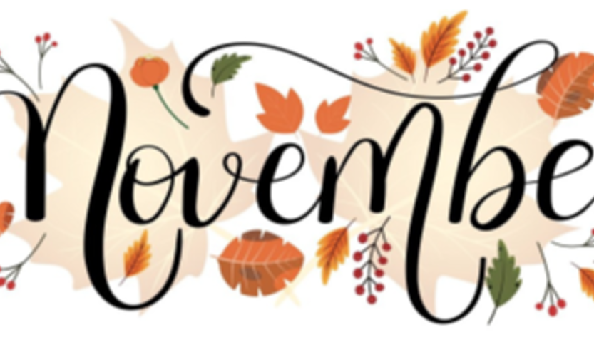 Nieuwsbrief OHN November 2026