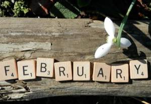 Februari OHN