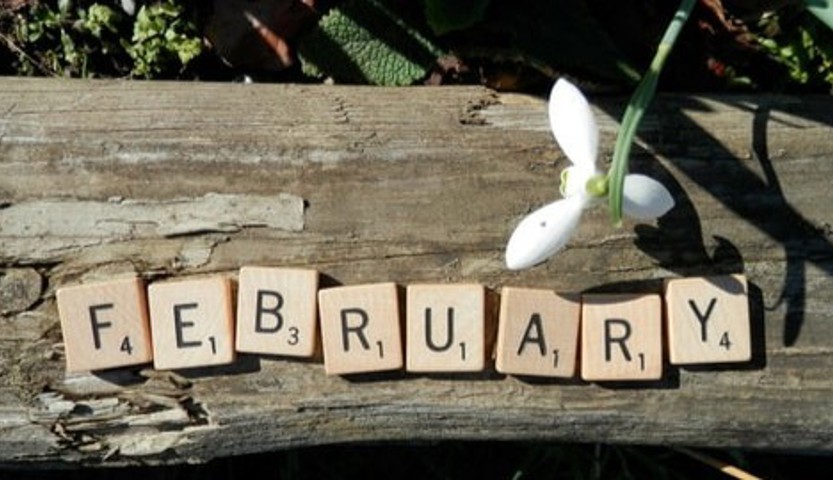 Februari OHN