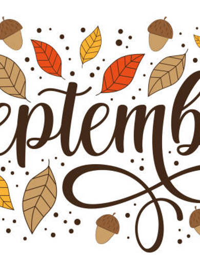 Istockphoto 1406906091 612X612